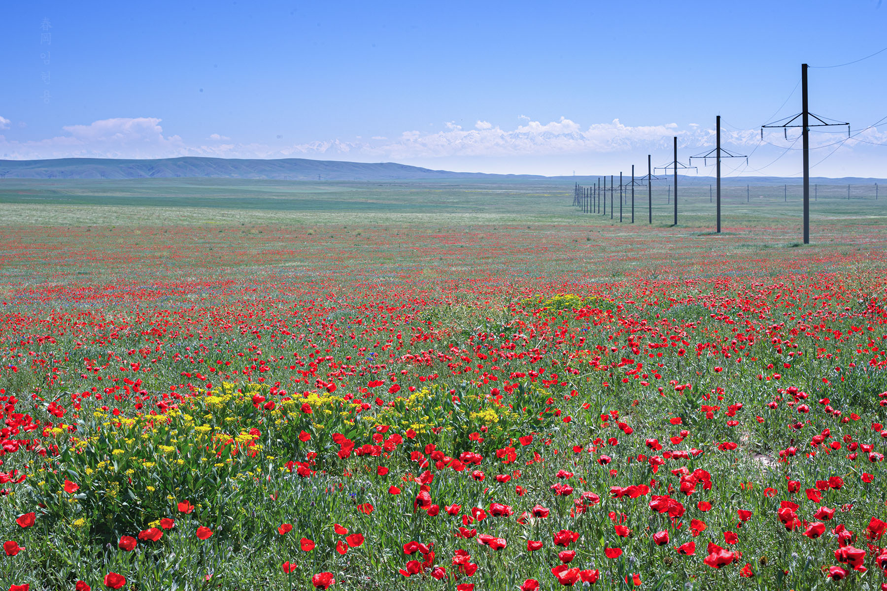 kazak_4262_1.jpg