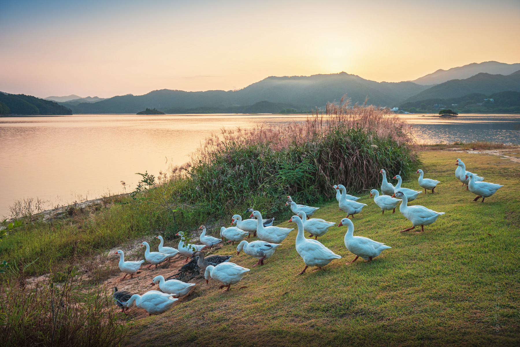 myungsang_5639_1.jpg