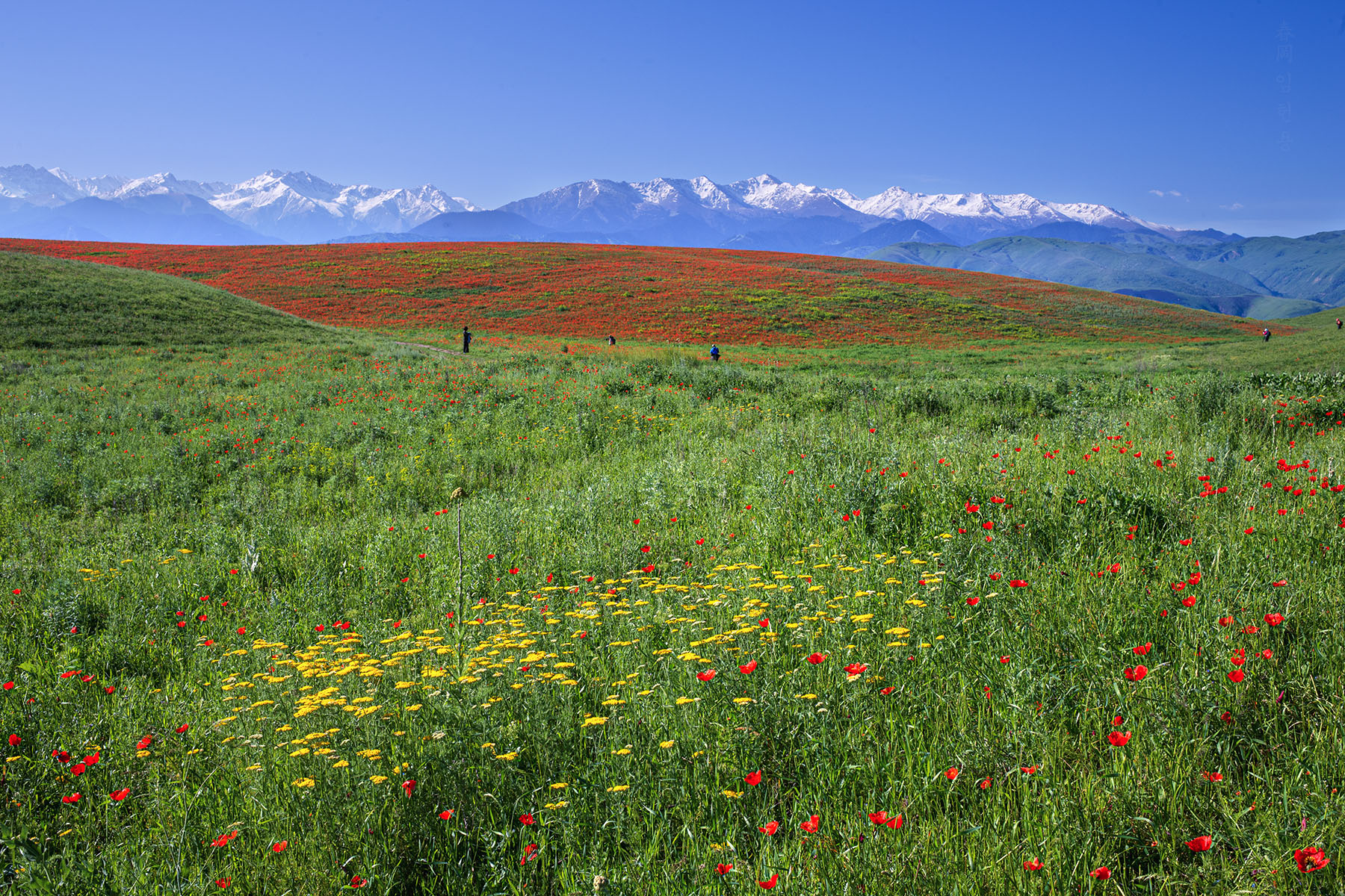 kazak_3954_1.jpg