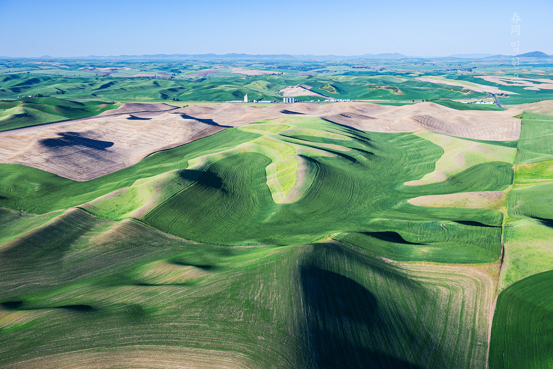 palouse_0966_1.jpg