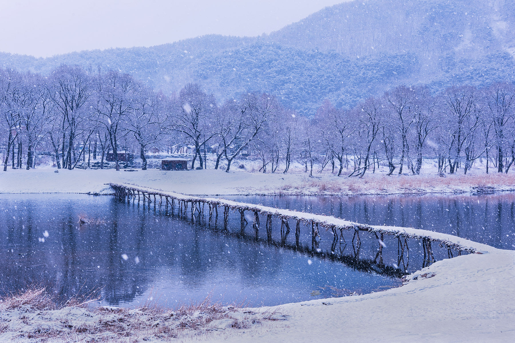 panwoonri_4377_1.jpg