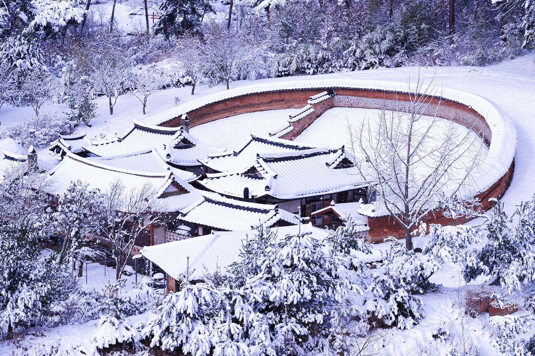 yusang_5670_1.jpg