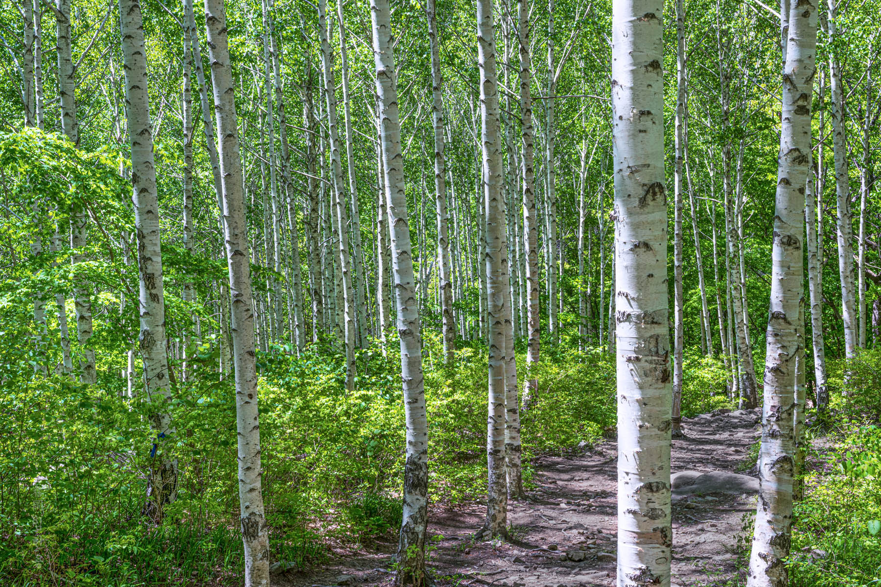 jukpanri_2144_1.jpg