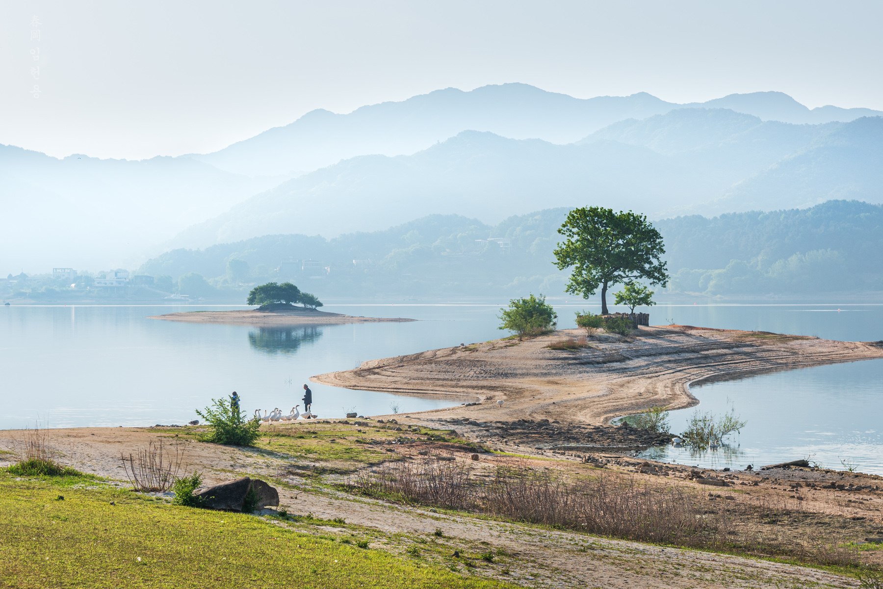 myungsang_3838_1.jpg