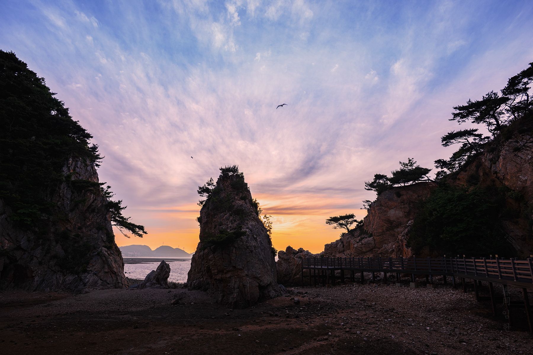 janggohang_2020_1.jpg