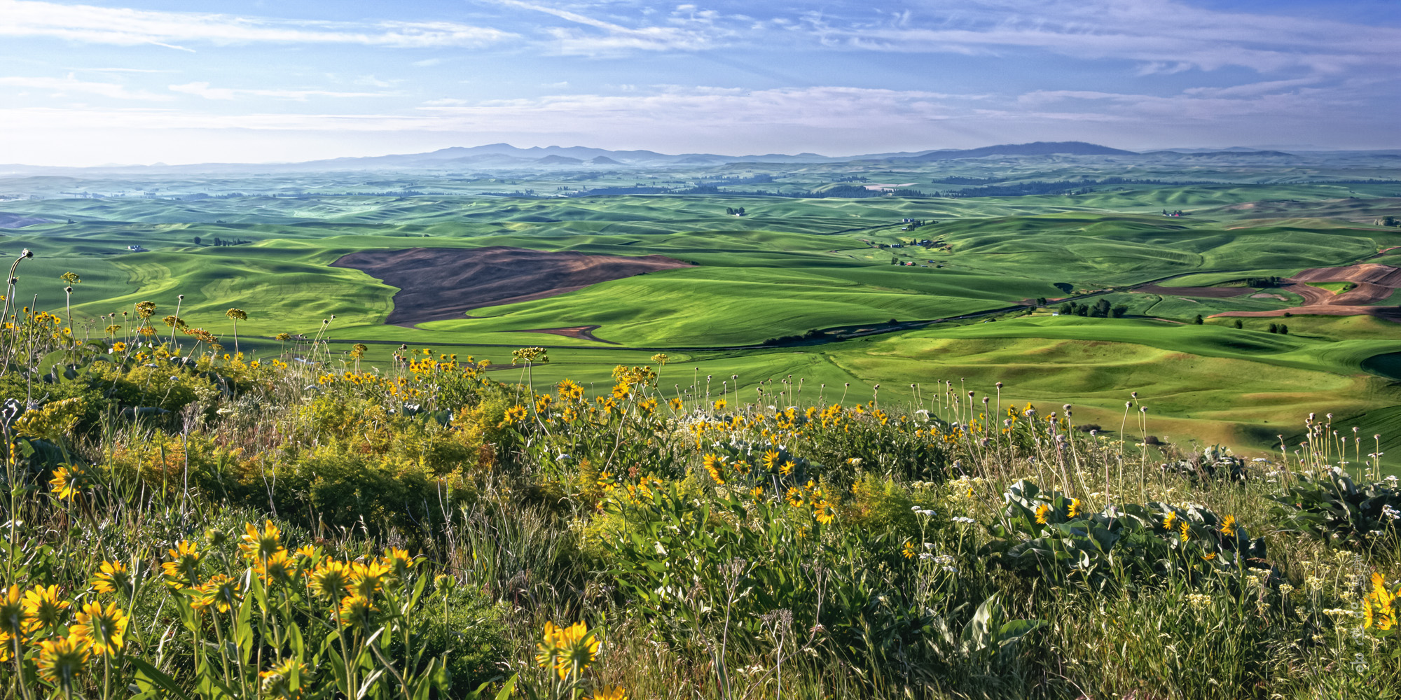 palouse_2057_1.jpg