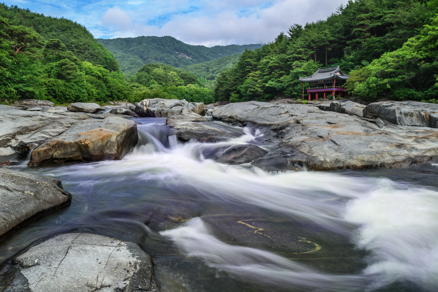 nongwoljung_6484_1.jpg