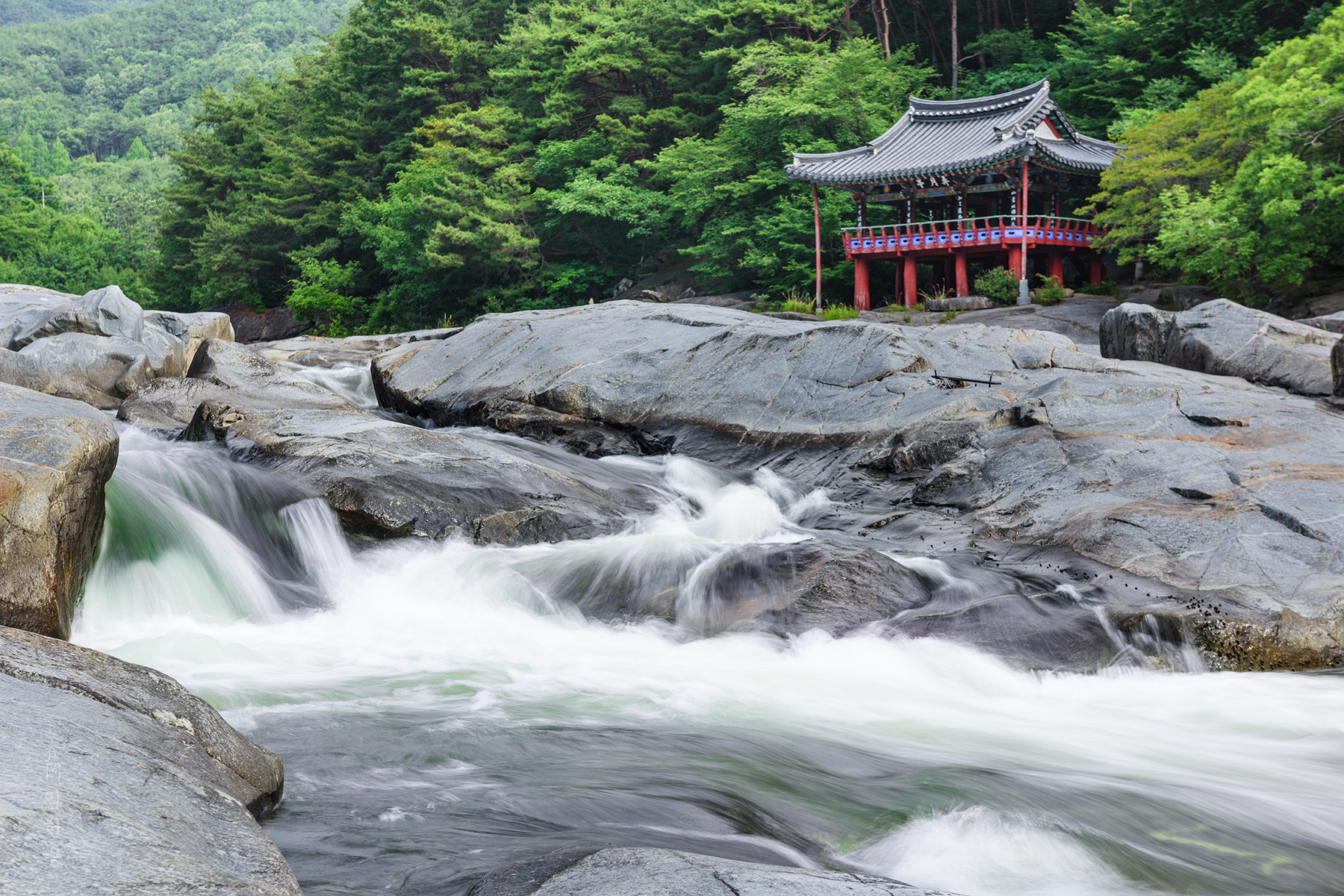 nongwoljung_6466_1.jpg