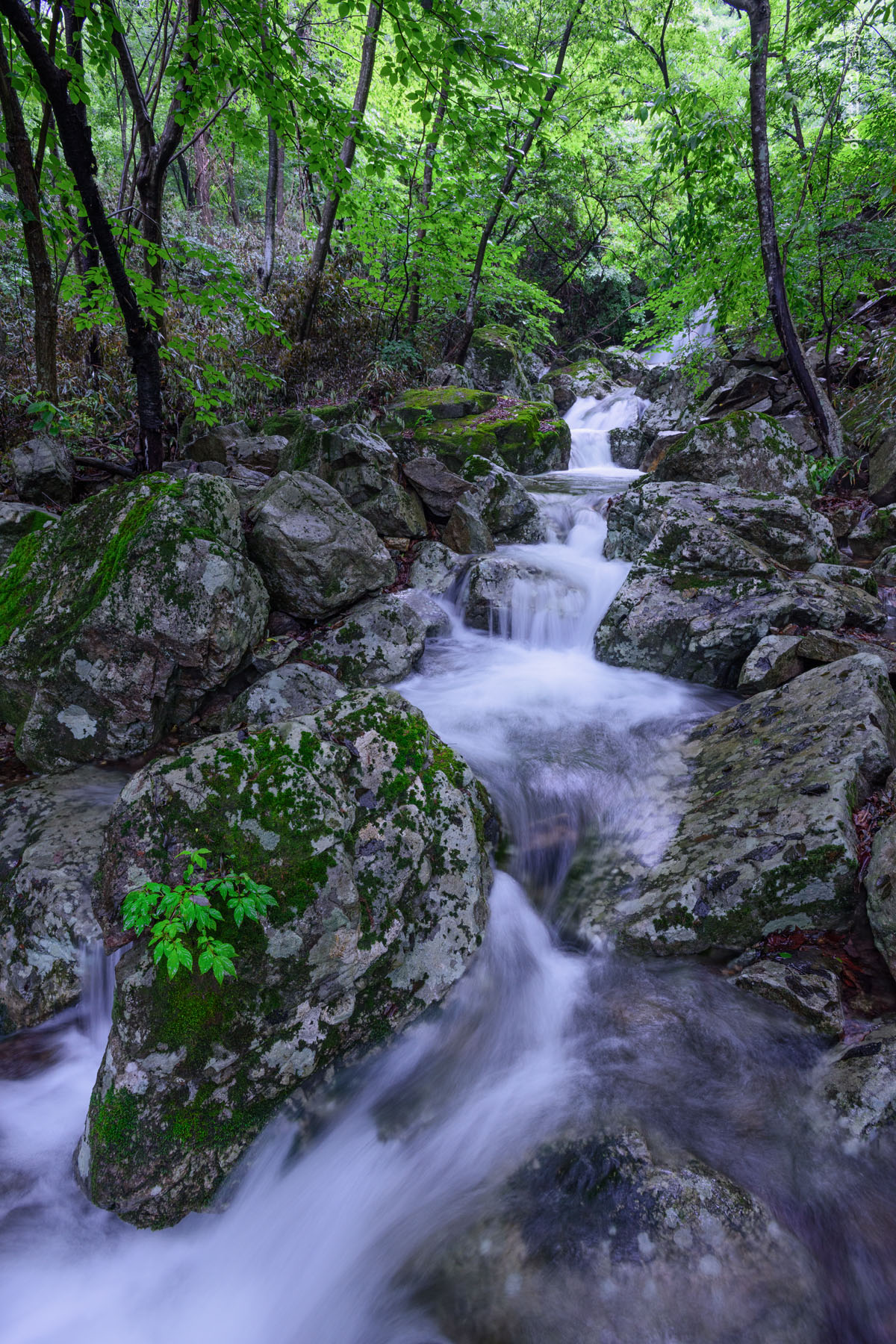 woonjangsan_6615_1.jpg