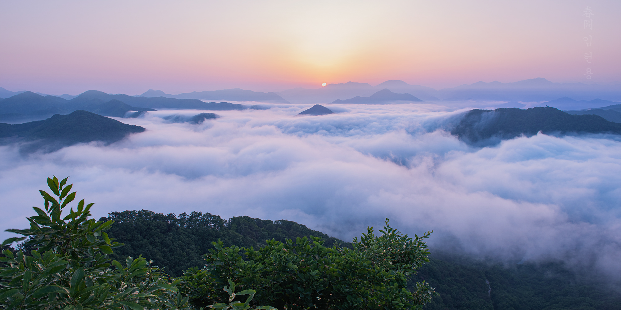 gobong_5393_1.jpg