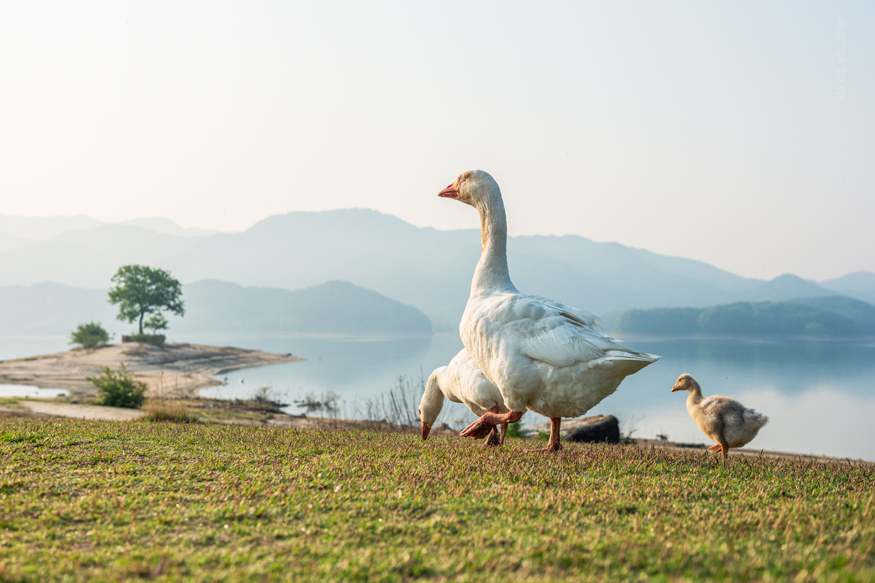 myungsang_3192_1.jpg