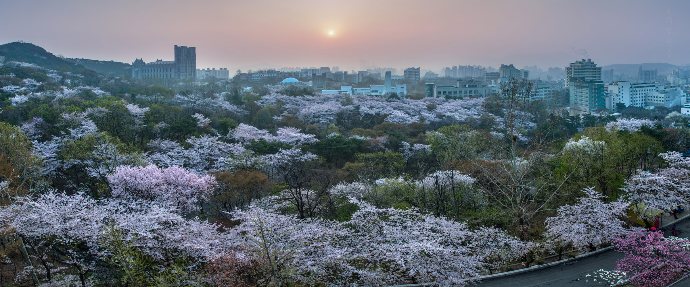 gyeongheui_panorama_21.jpg