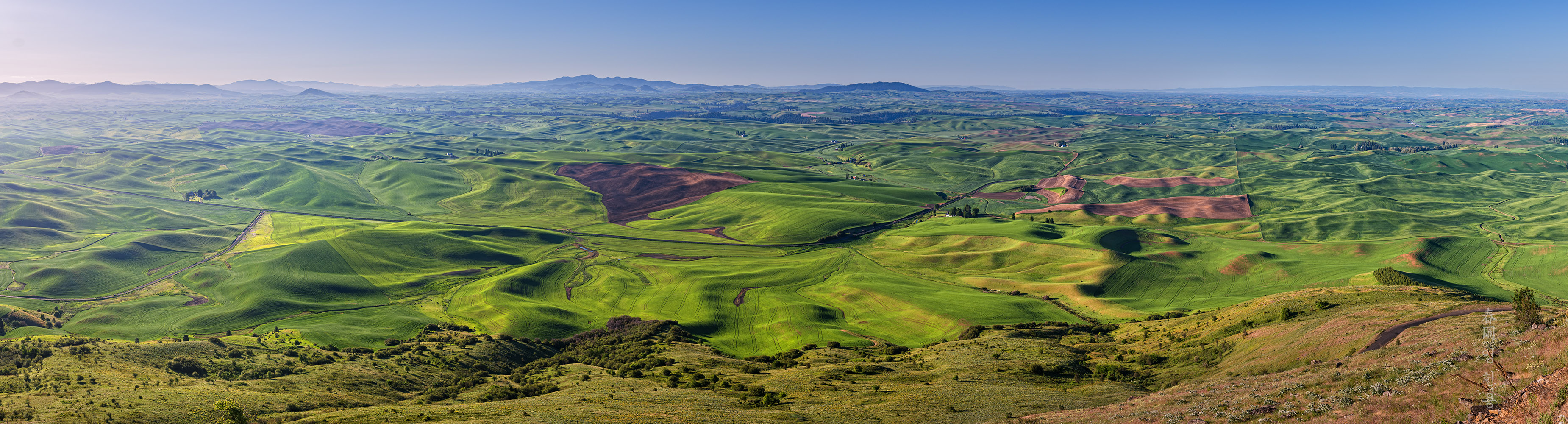 palouse_130610_panorama_21.jpg