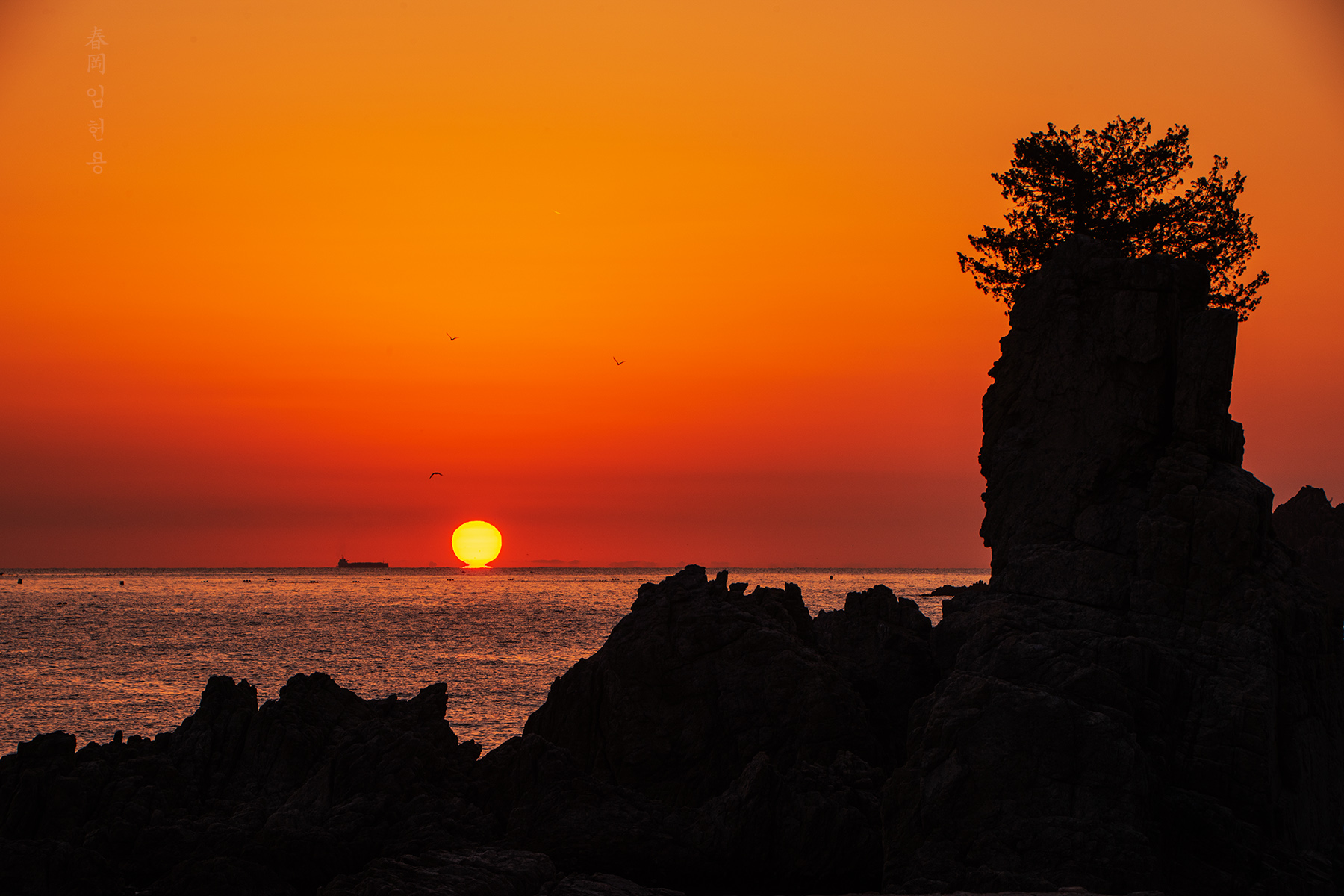sinnam_5843_1.jpg