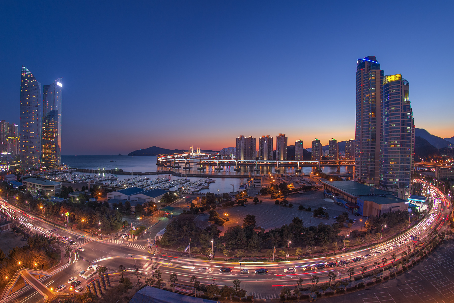 dongsam_1109_1.jpg