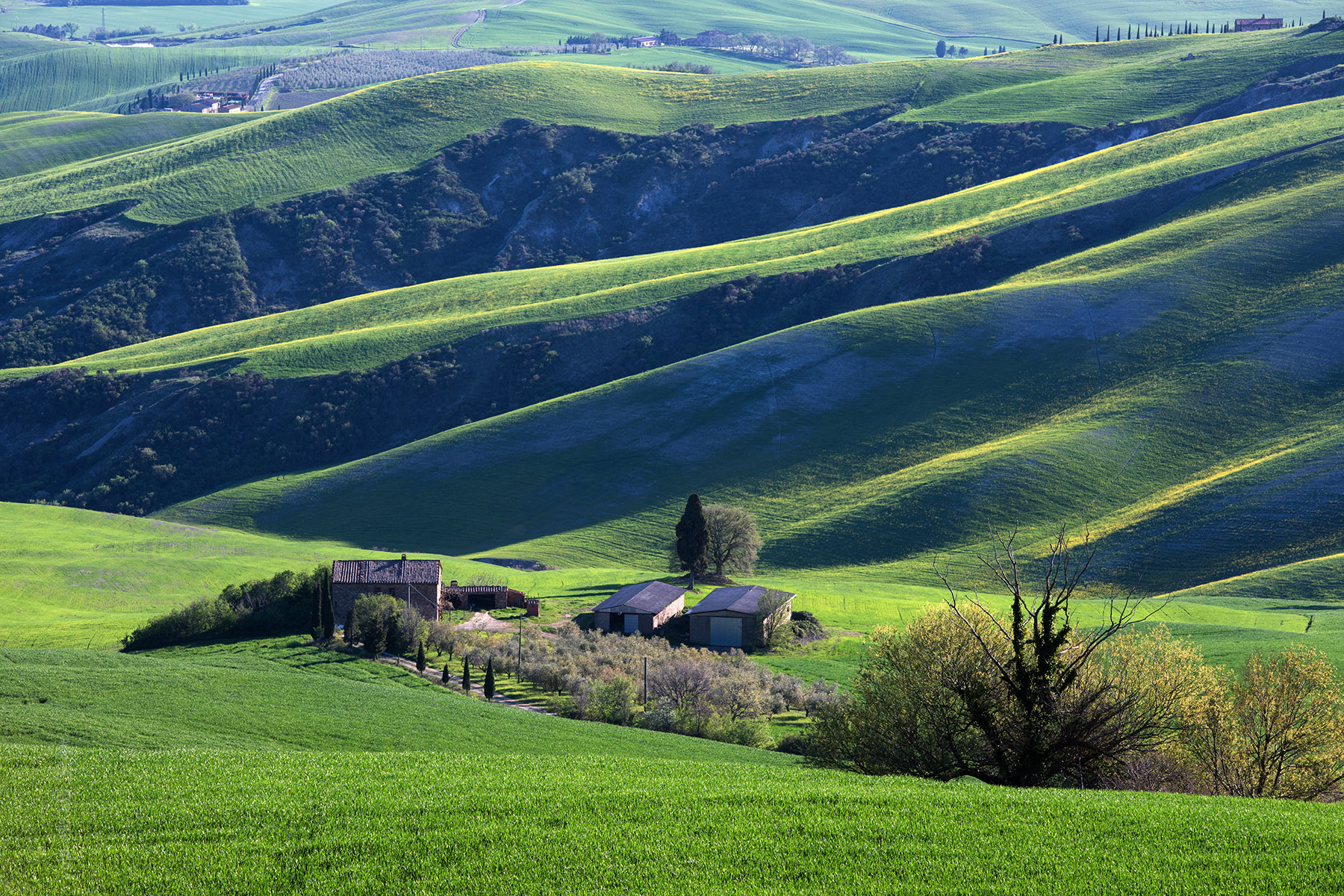 monticchiello_1728_1.jpg