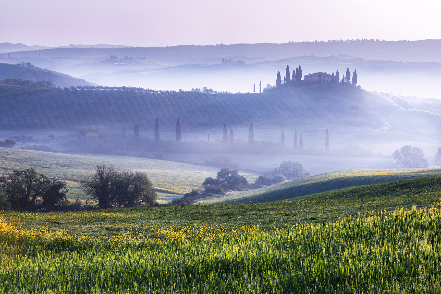 belvedere_4657_1.jpg