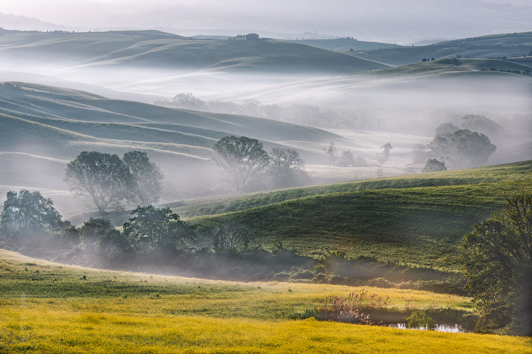 belvedere_4758_1.jpg