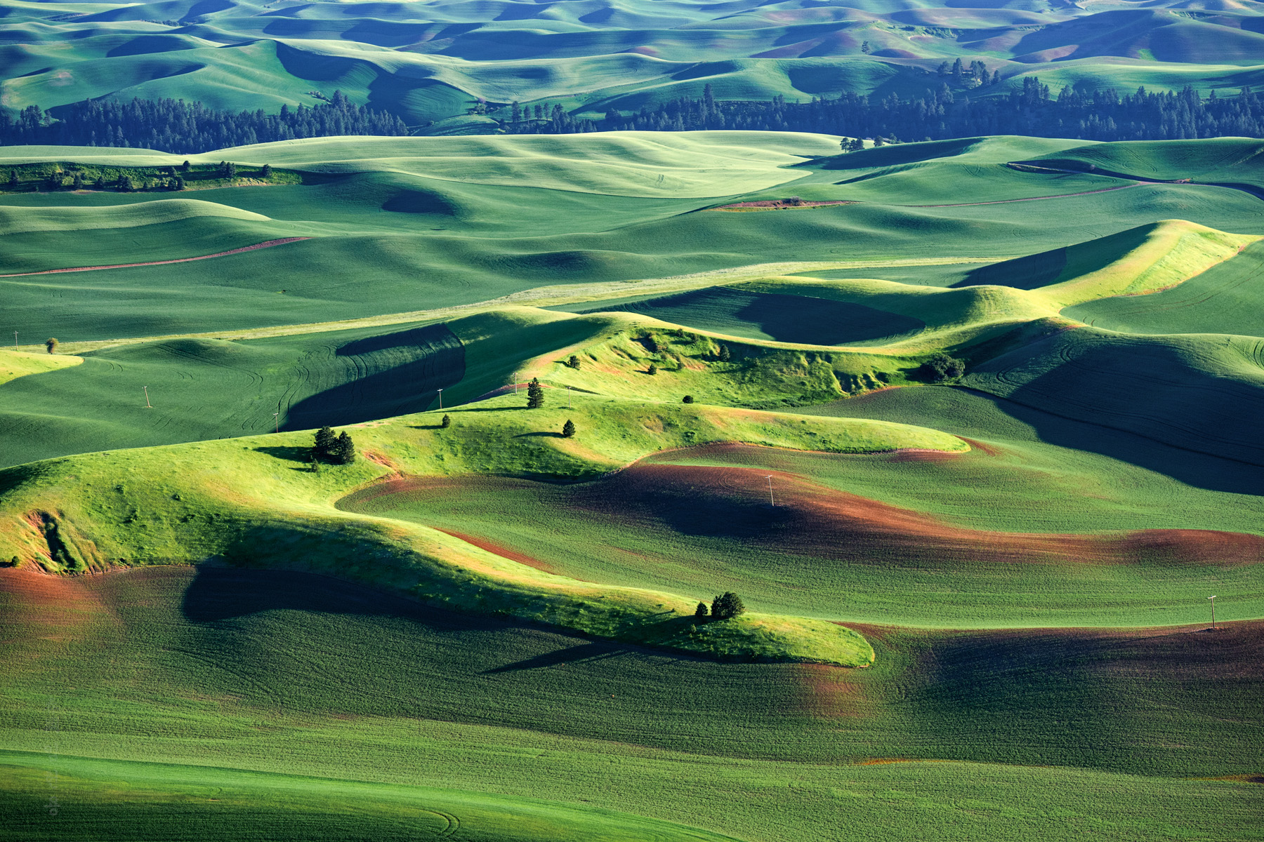 palouse_0840_1.jpg