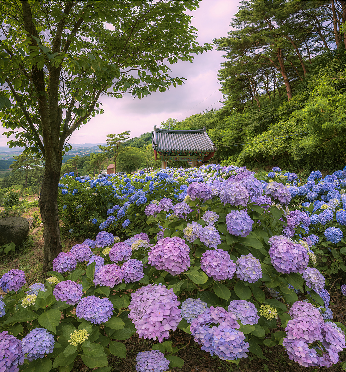 부석7670P-12.jpg
