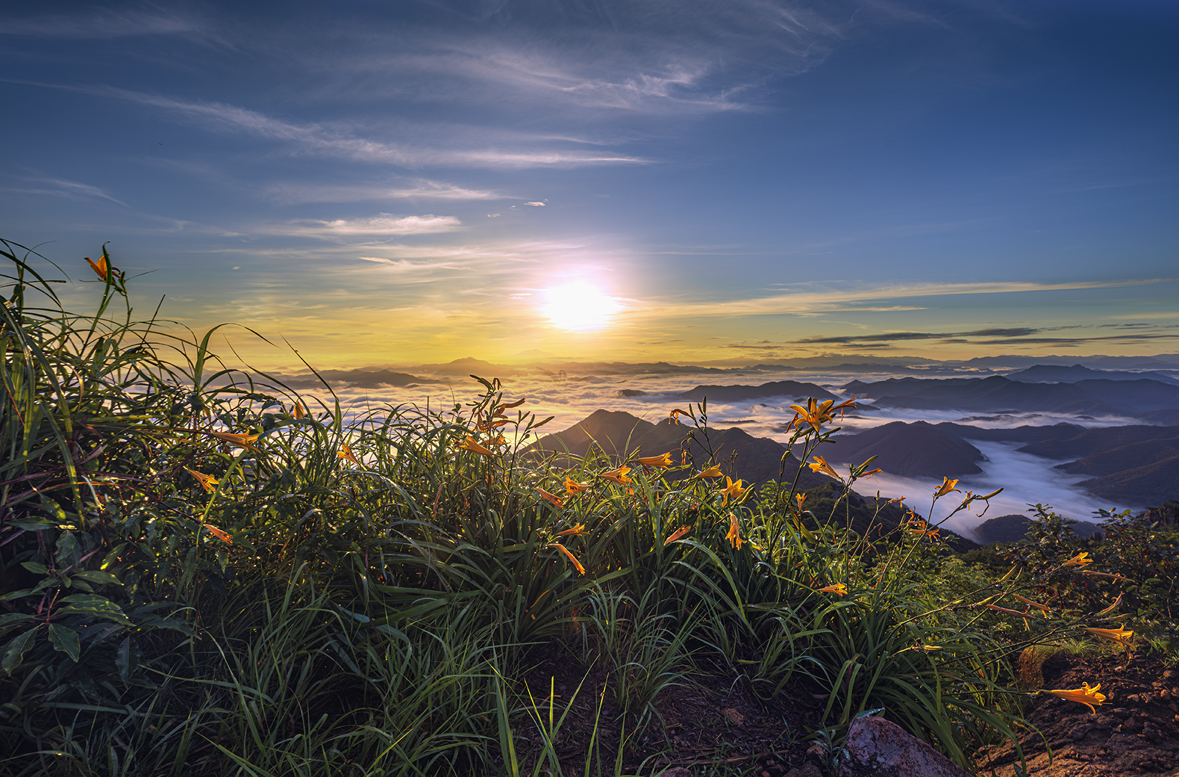 낙조9138-1.jpg
