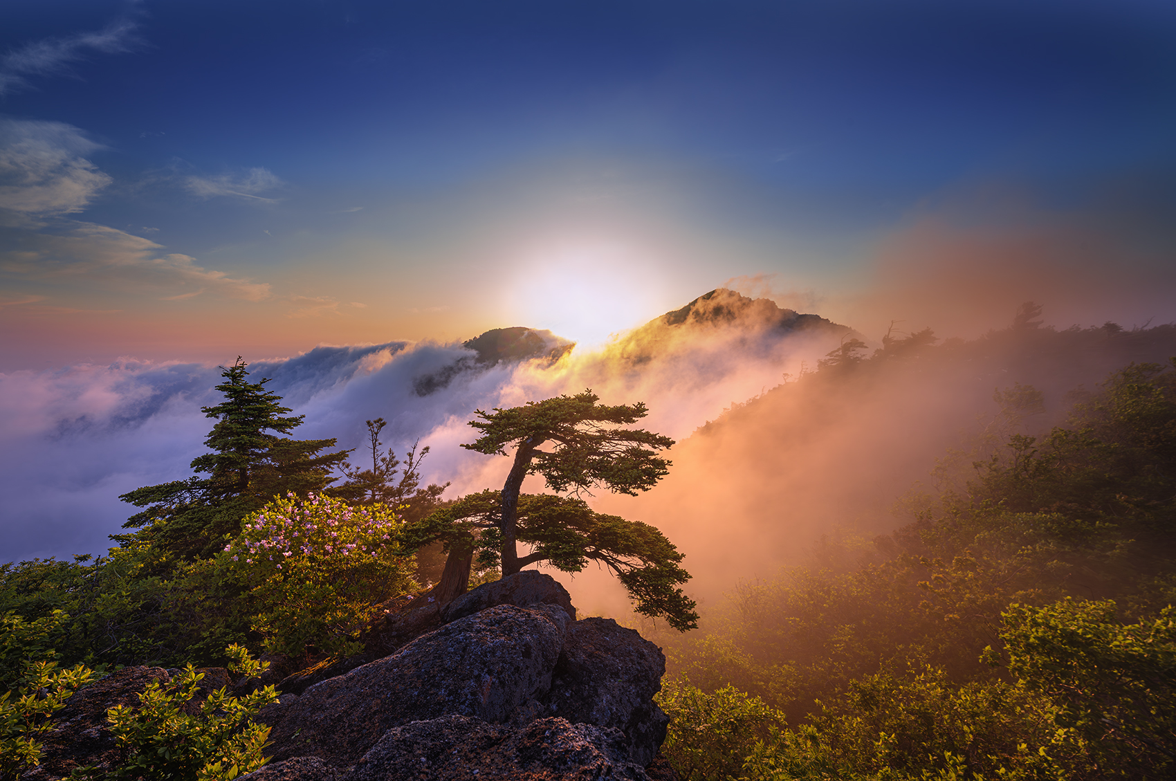 제석6240NR-12.jpg