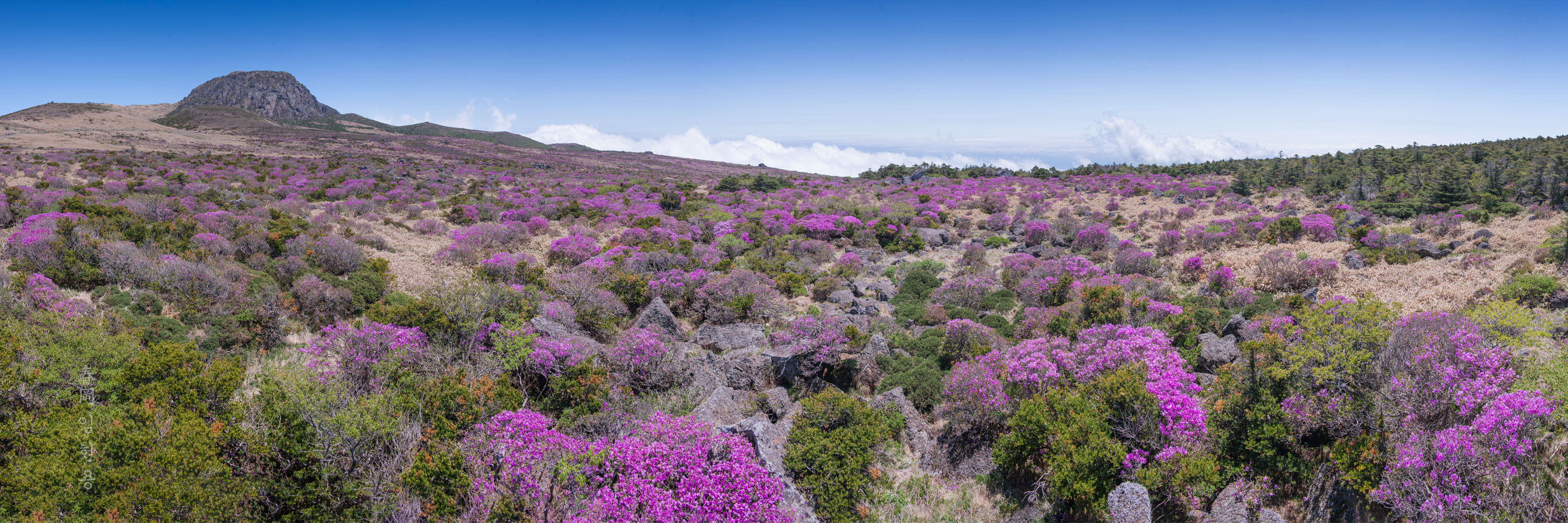 halasan_6316_pano_2.jpg